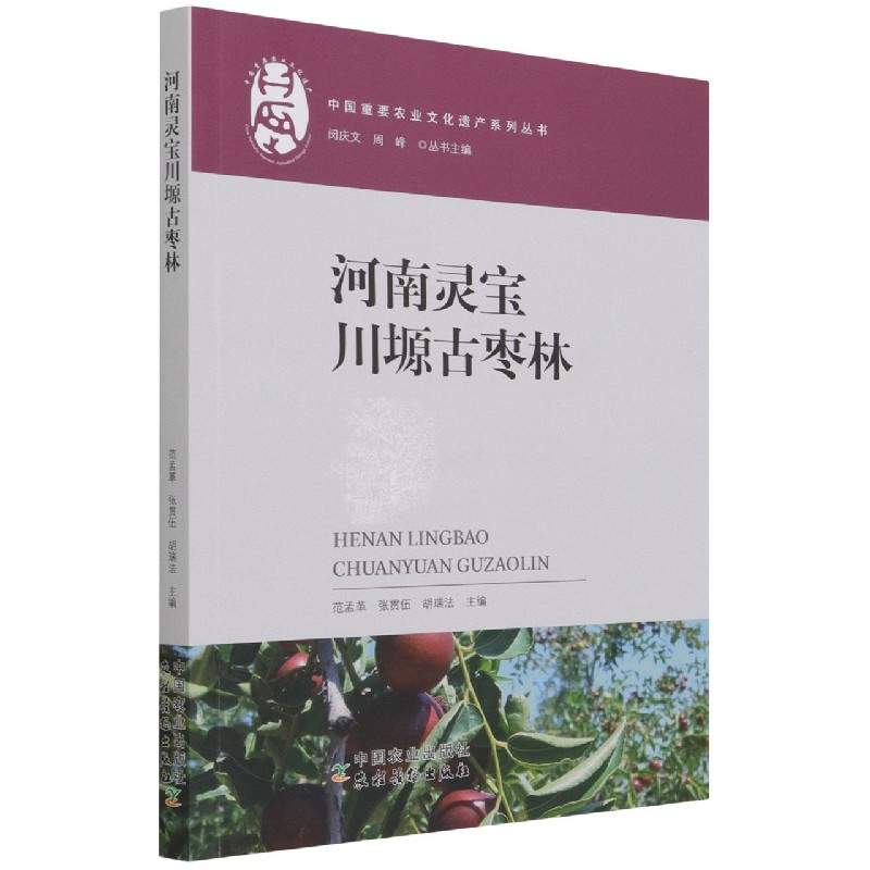 河南灵宝川塬古枣林