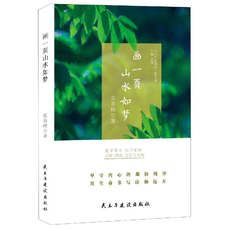 画一页山水如梦/当代作家精品