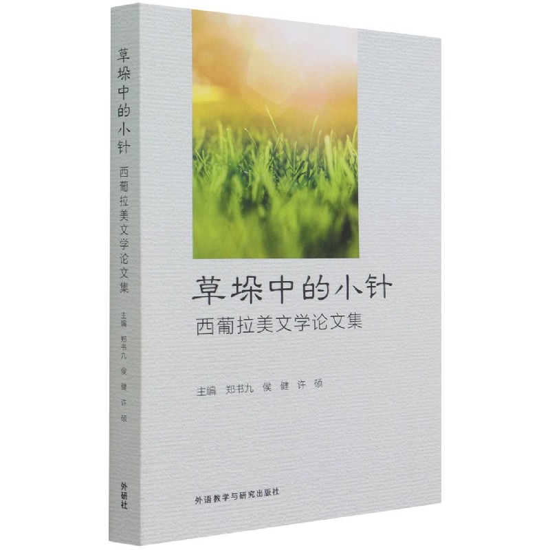 草垛中的小针-西葡拉美文学论文集