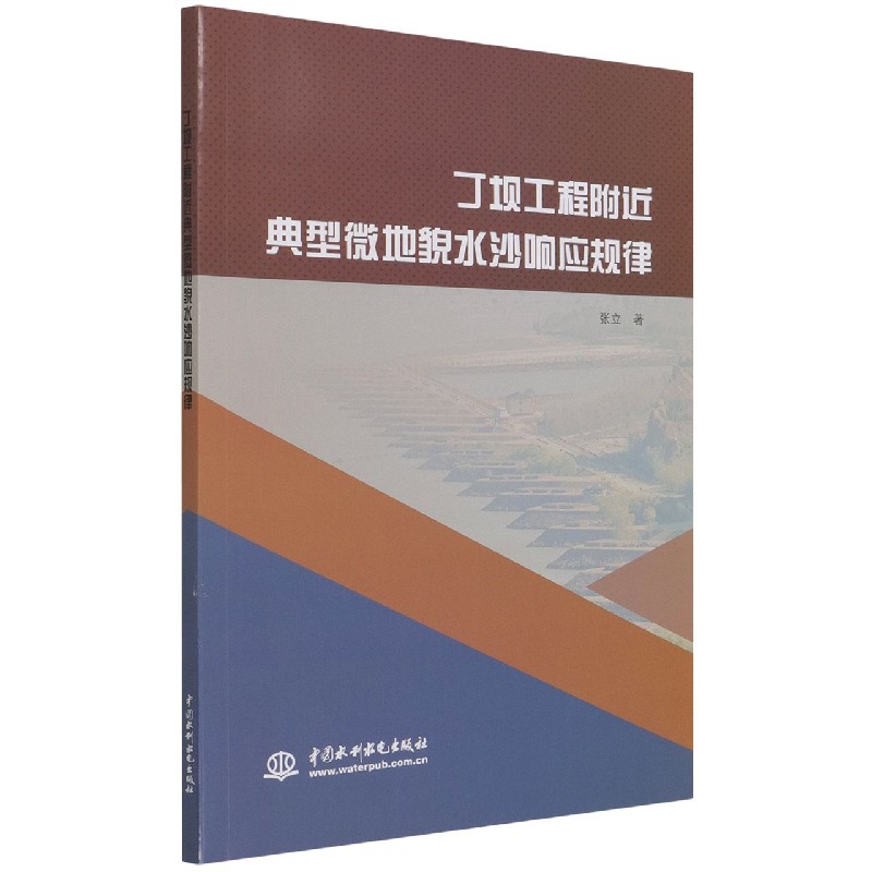 丁坝工程附近典型微地貌水沙响应规律