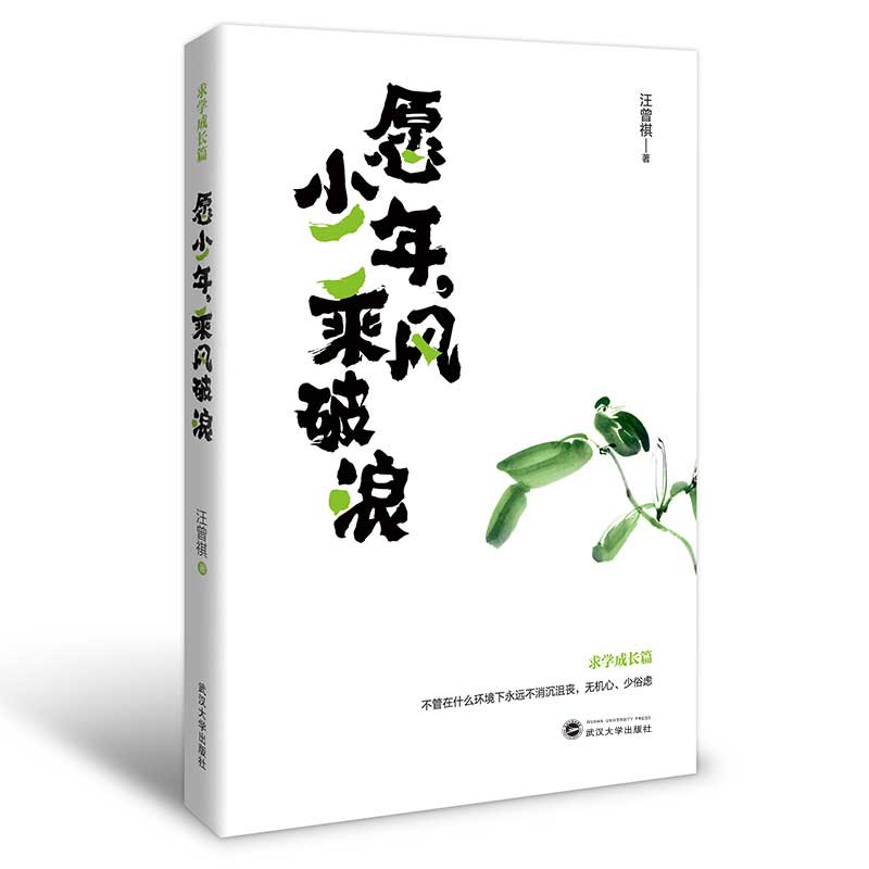 愿少年，乘风破浪