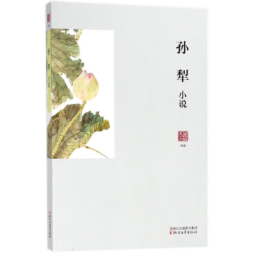 孙犁小说/名家小说典藏