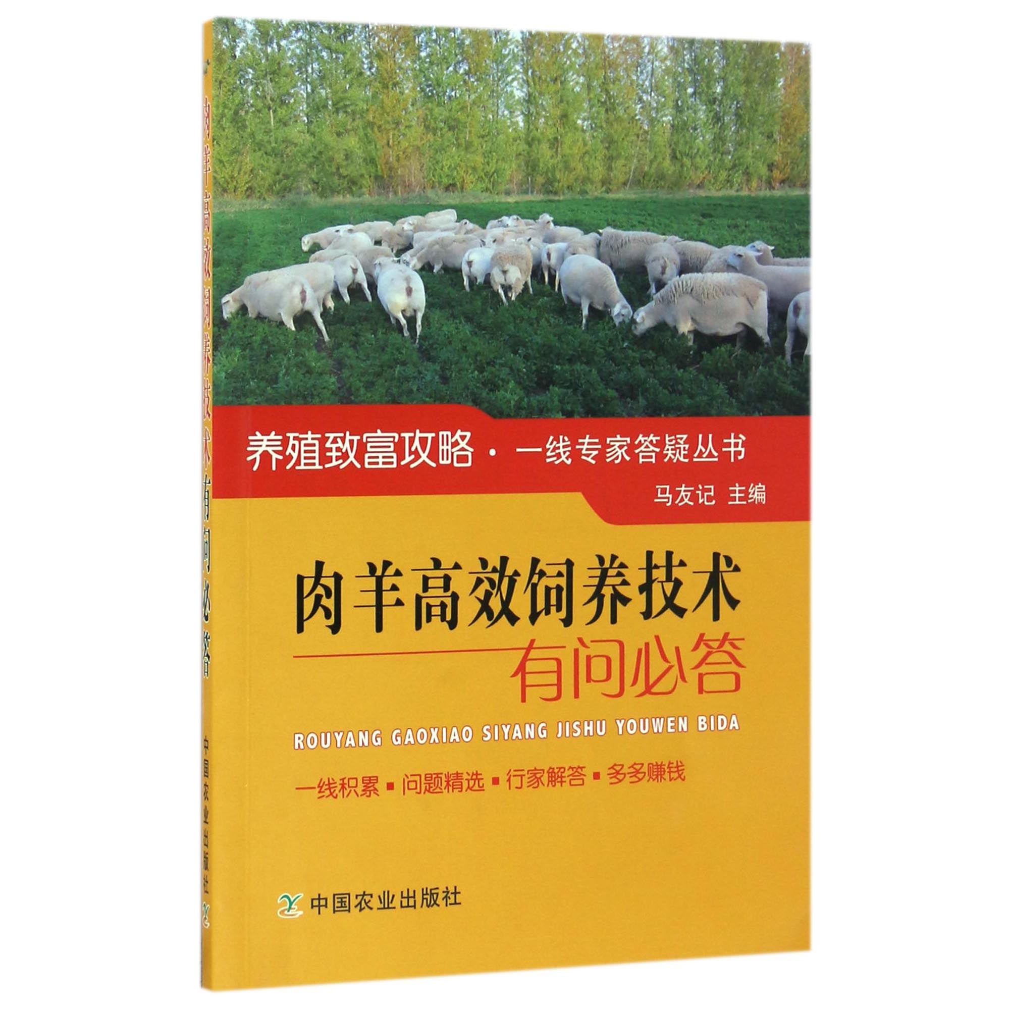 肉羊高效饲养技术有问必答/养殖致富攻略一线专家答疑丛书