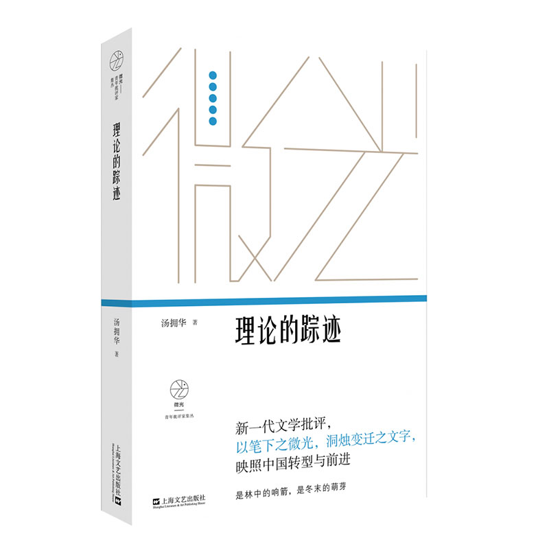 理论的踪迹：20世纪中国文学研究中的历史与美学（微光·青年批评家集丛（第三辑））