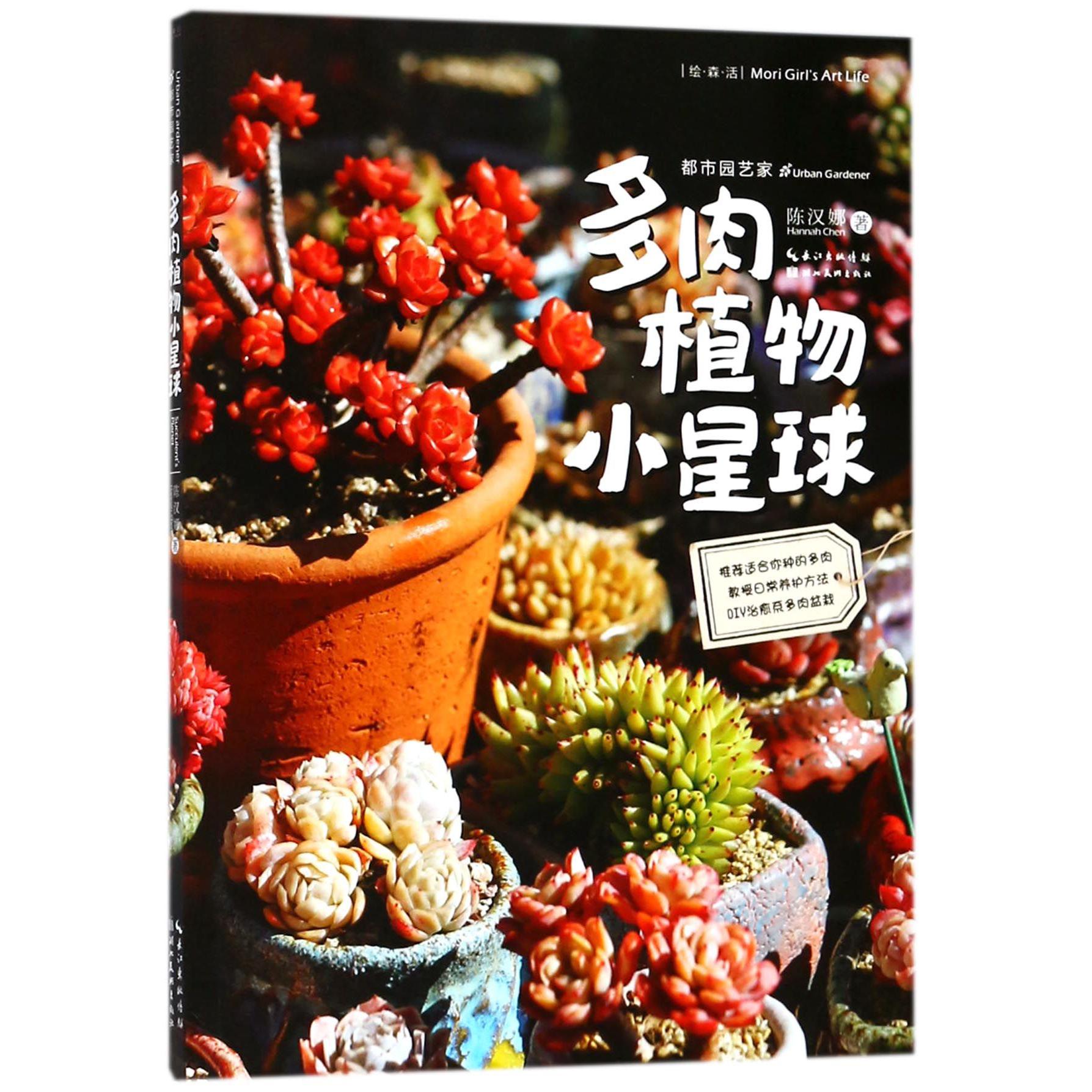 多肉植物小星球/都市园艺家