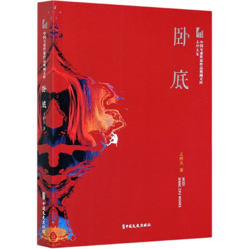 卧底/中国专业作家作品典藏文库