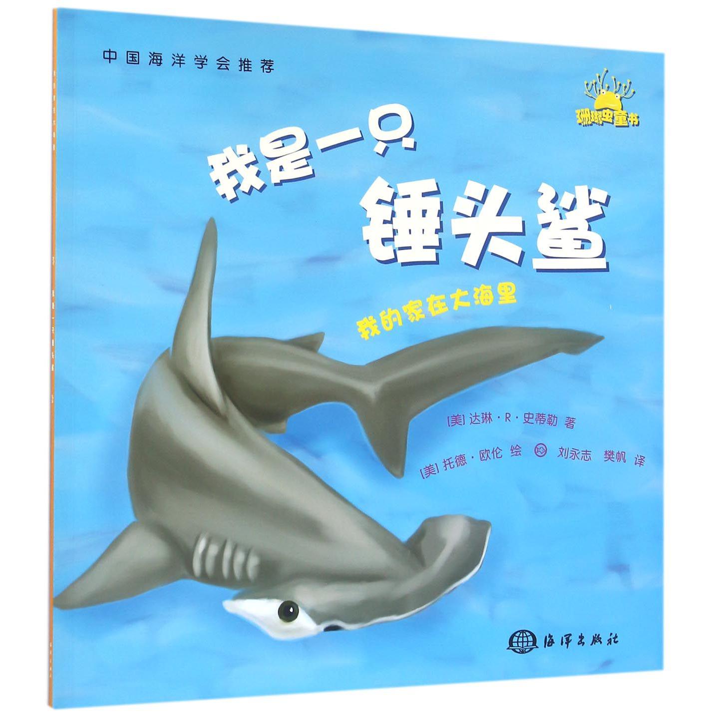 我是一只锤头鲨/我的家在大海里