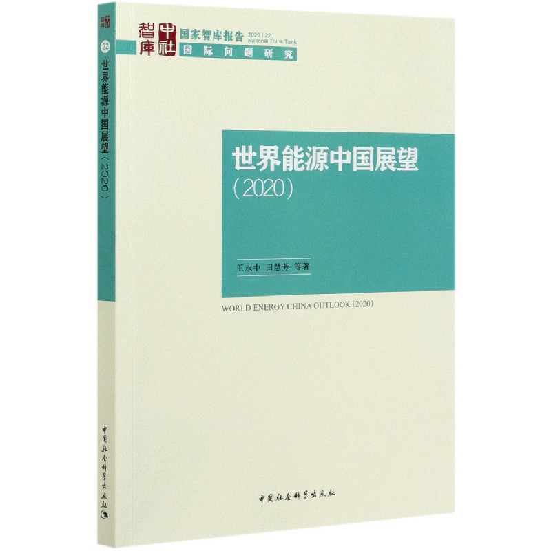 世界能源中国展望（2020）/国家智库报告