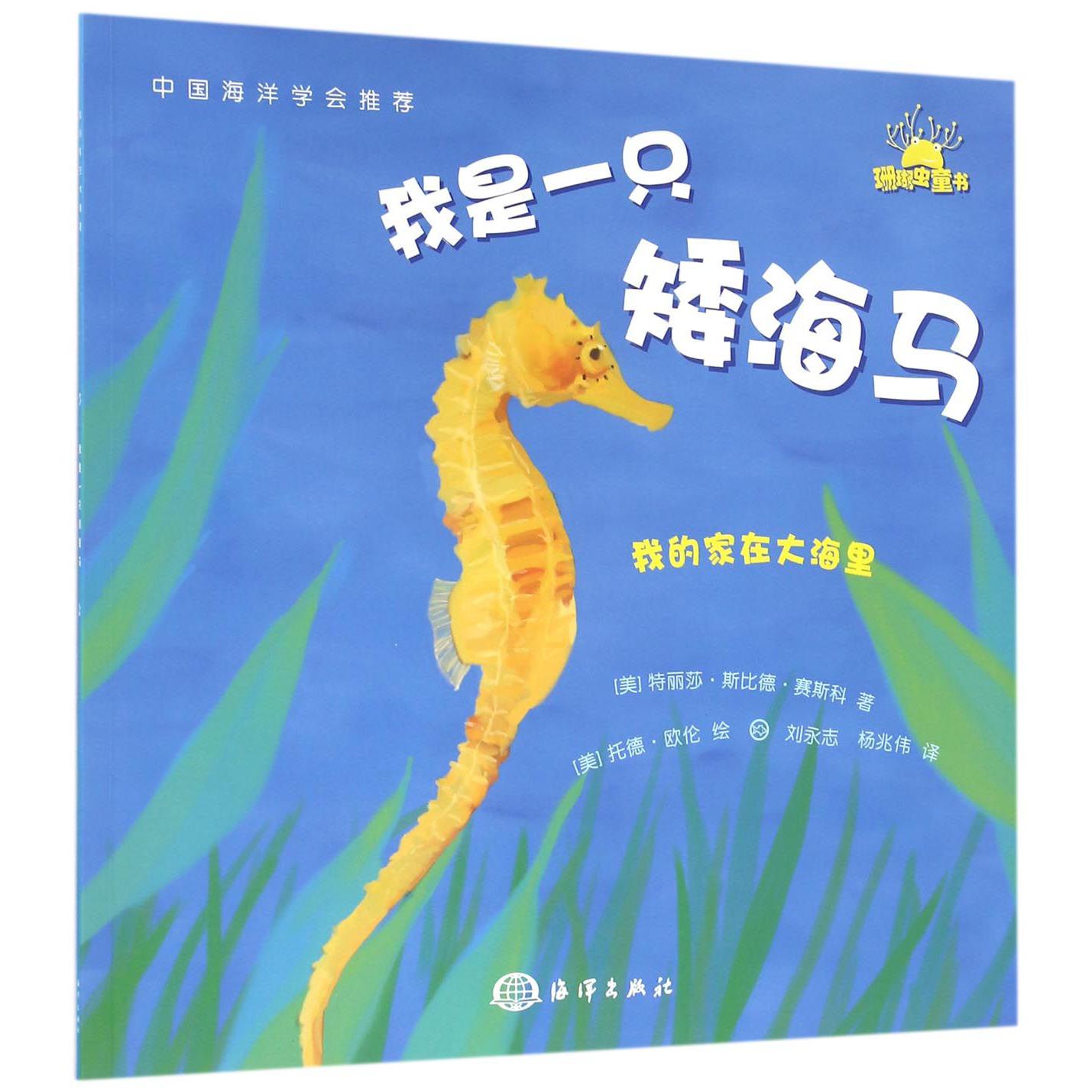 我是一只矮海马/我的家在大海里