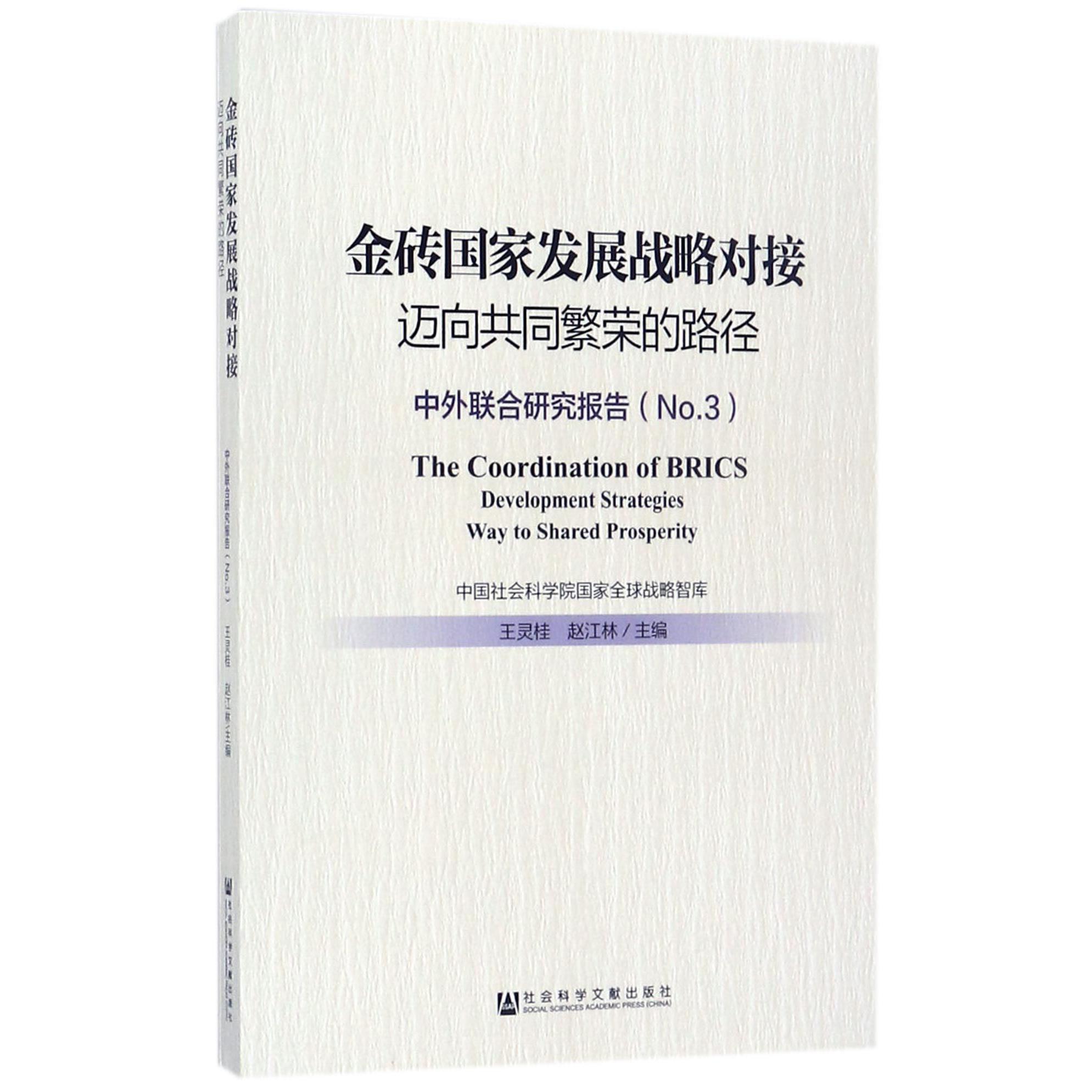 金砖国家发展战略对接（迈向共同繁荣的路径中外联合研究报告No.3）