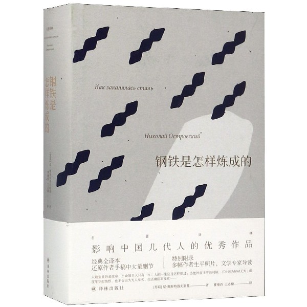 钢铁是怎样炼成的(精)/名著译林