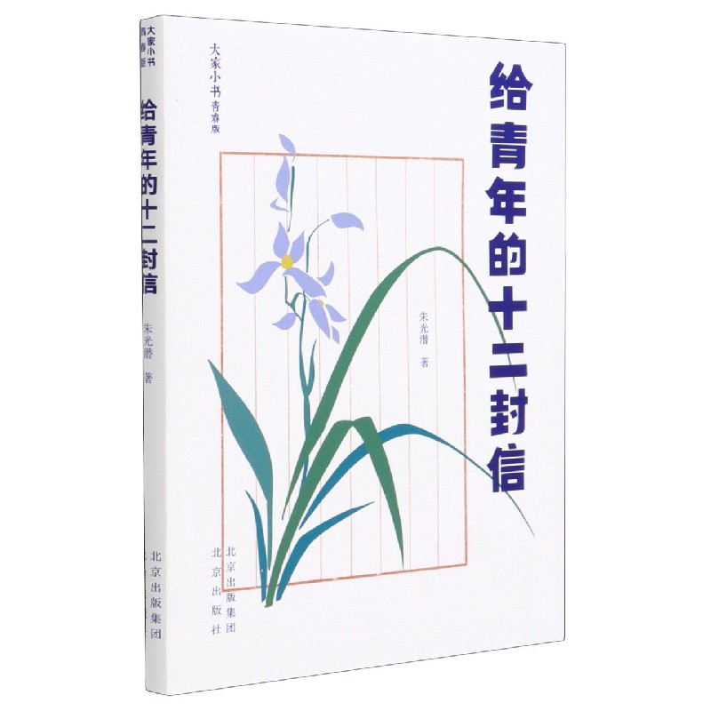 给青年的十二封信（青春版）/大家小书