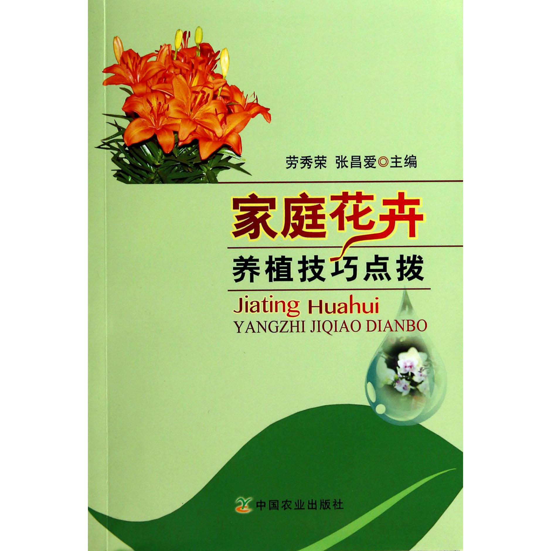 家庭花卉养植技巧点拨