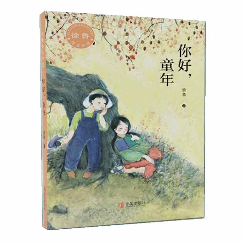 你好童年（徐鲁美文作品）