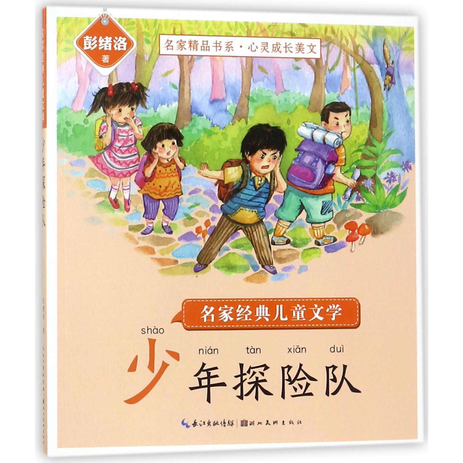 少年探险队/名家经典儿童文学/名家精品书系