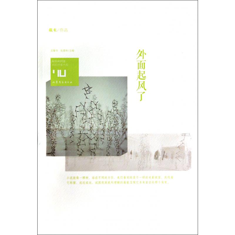 外面起风了/身份共同体70后作家大系
