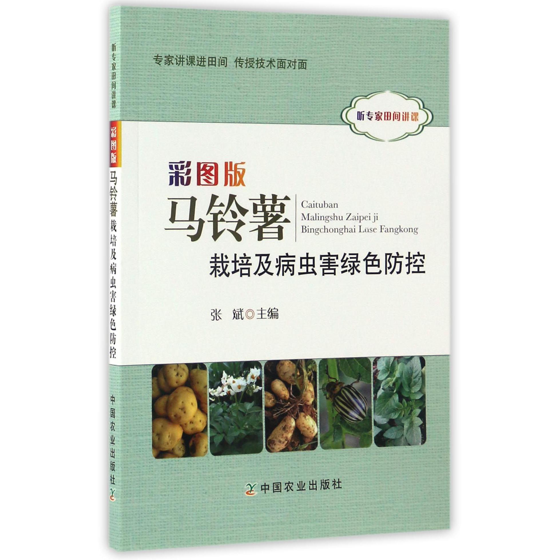 彩图版马铃薯栽培及病虫害绿色防控（听专家田间讲课）