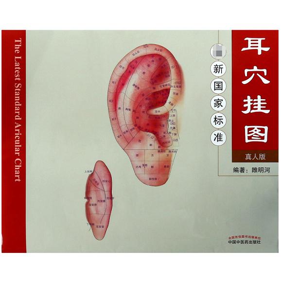 最新国家标准耳穴挂图（附说明书真人版）