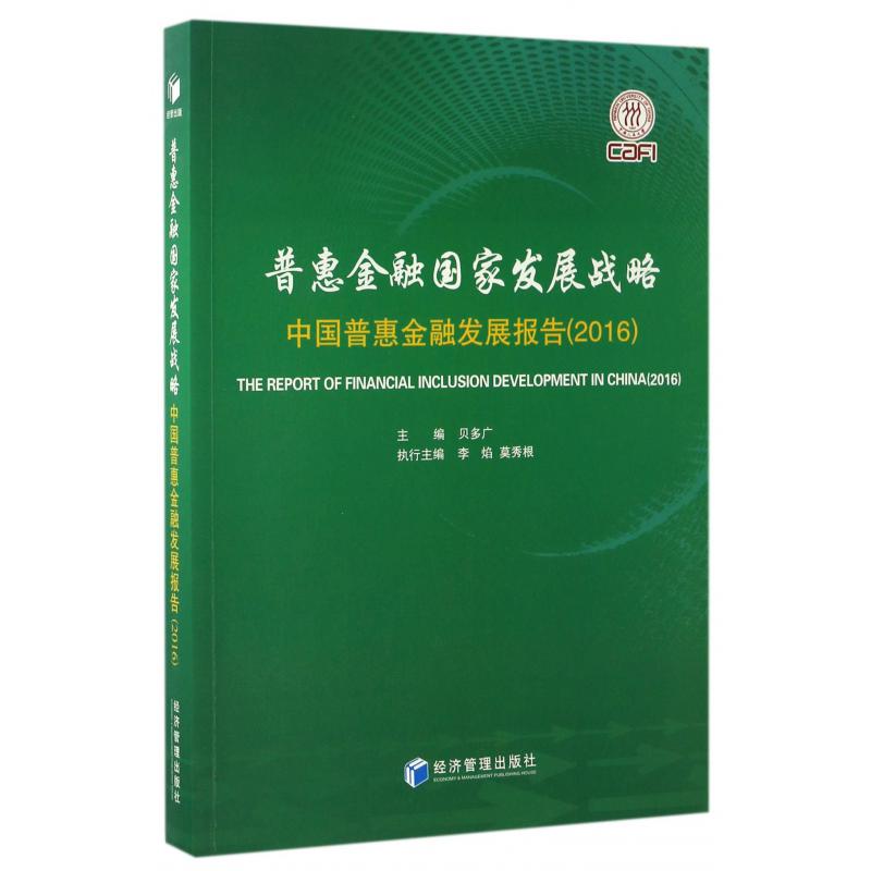 普惠金融国家发展战略（中国普惠金融发展报告2016）