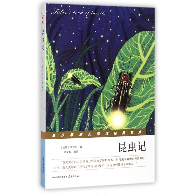 昆虫记/青少年成长阅读经典文库