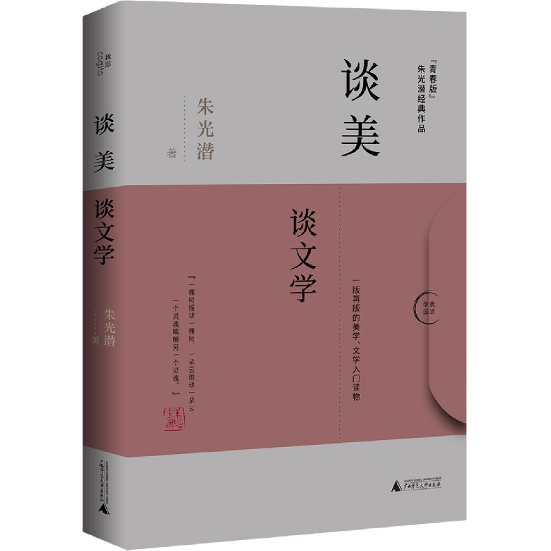 谈美（谈文学青春版）