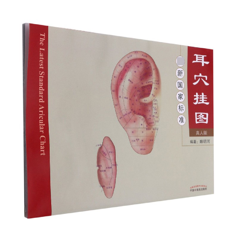 最新国家标准耳穴挂图（附说明书真人版）