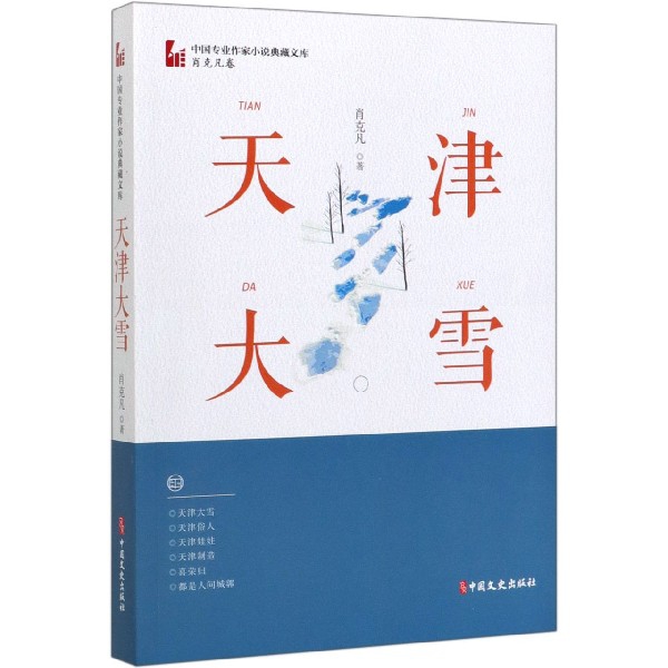 天津大雪/中国专业作家小说典藏文库