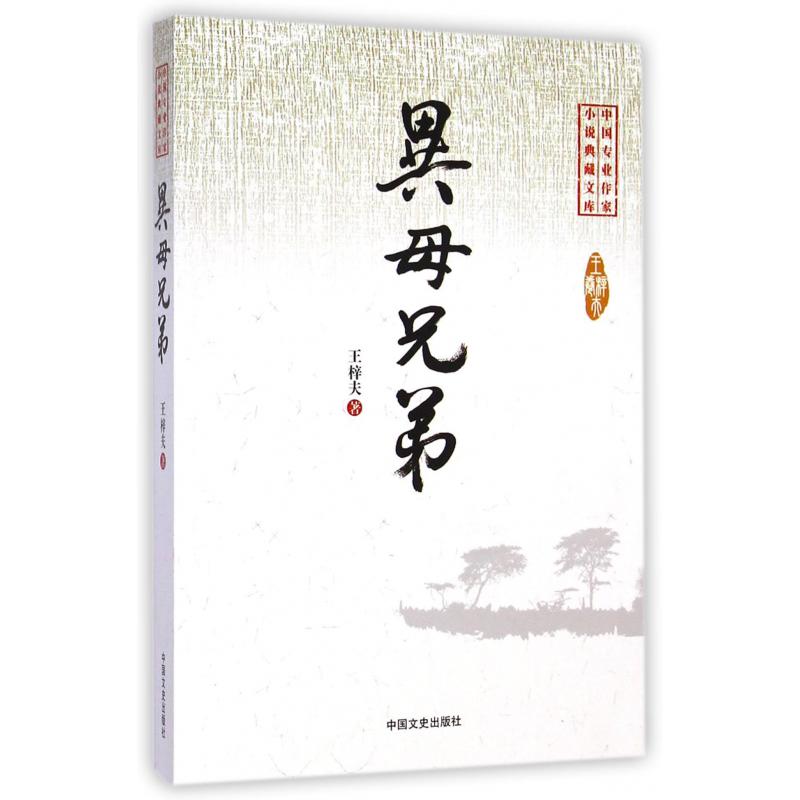 异母兄弟/中国专业作家小说典藏文库