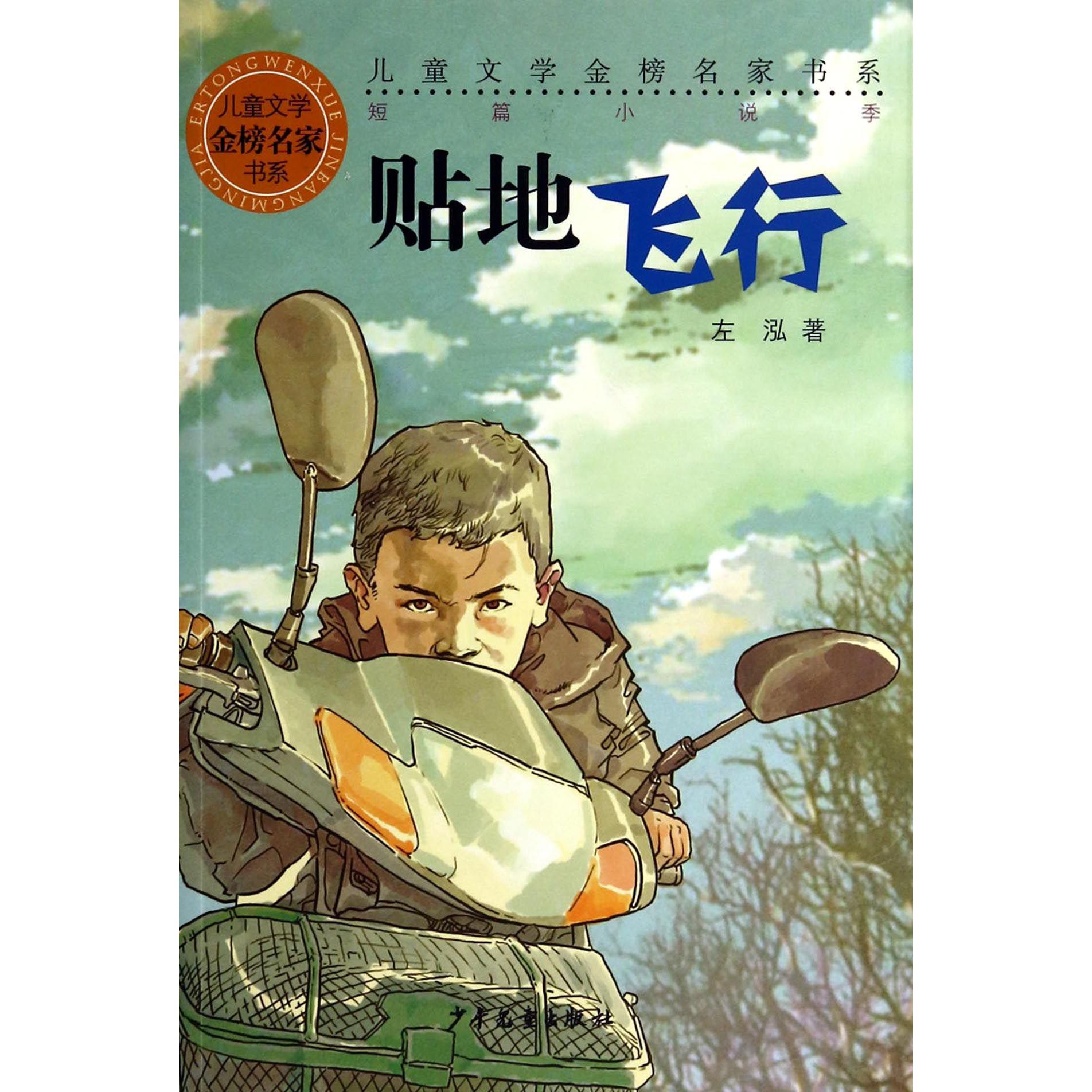 贴地飞行/儿童文学金榜名家书系