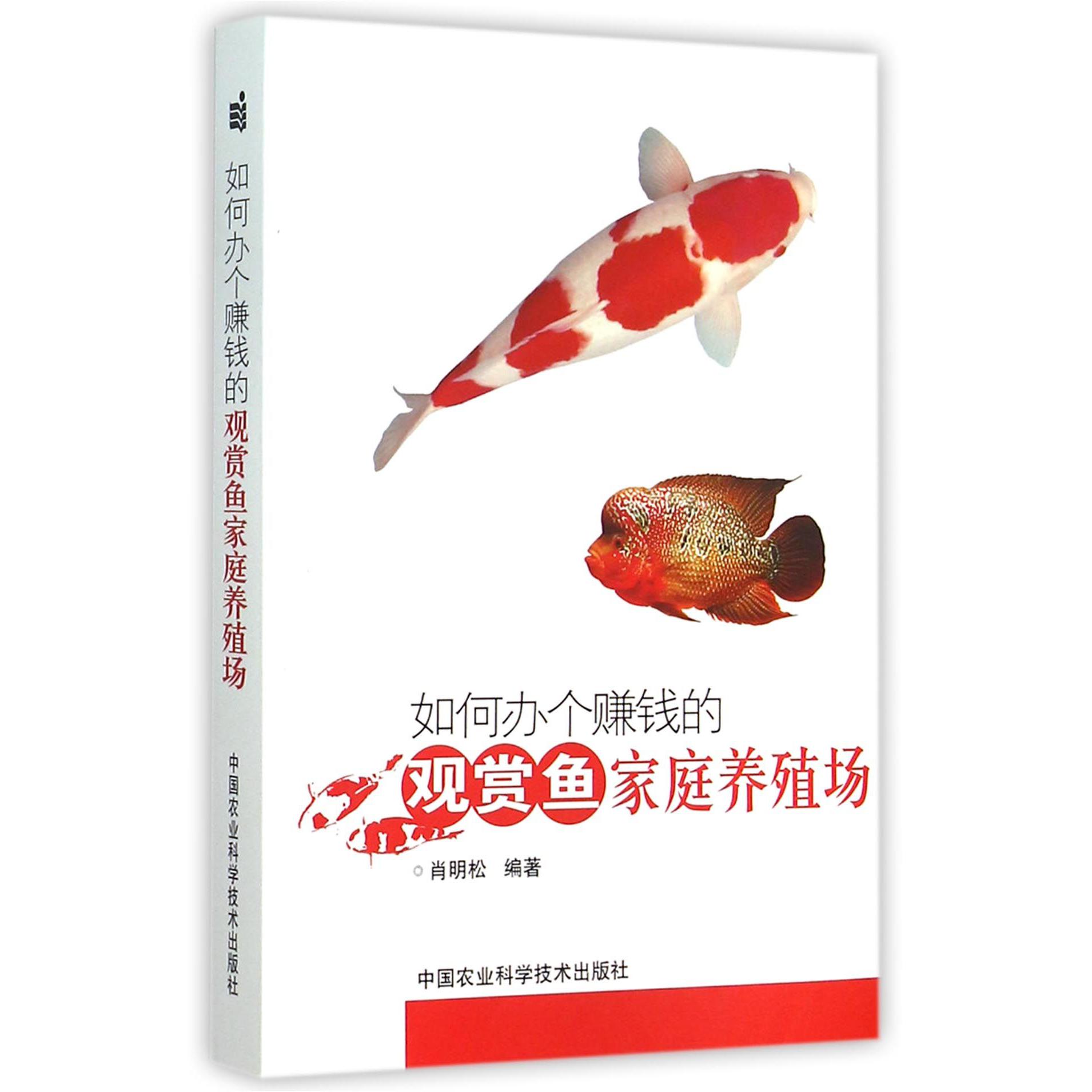 如何办个赚钱的观赏鱼家庭养殖场