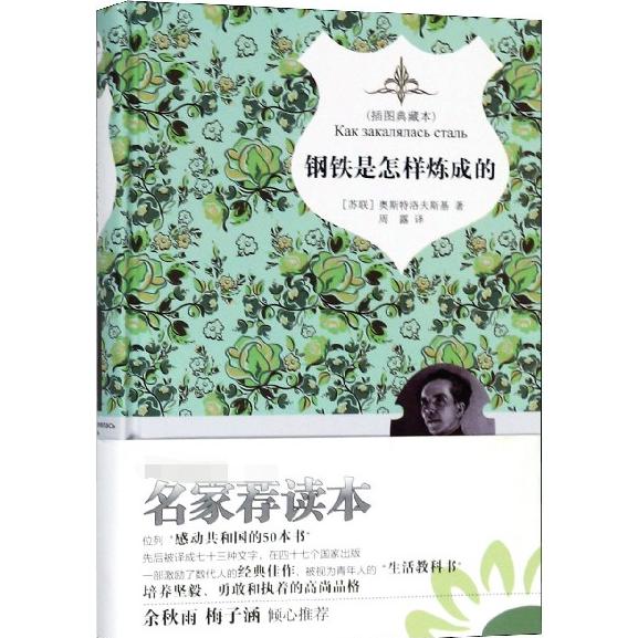 钢铁是怎样炼成的(插图典藏本)(精)