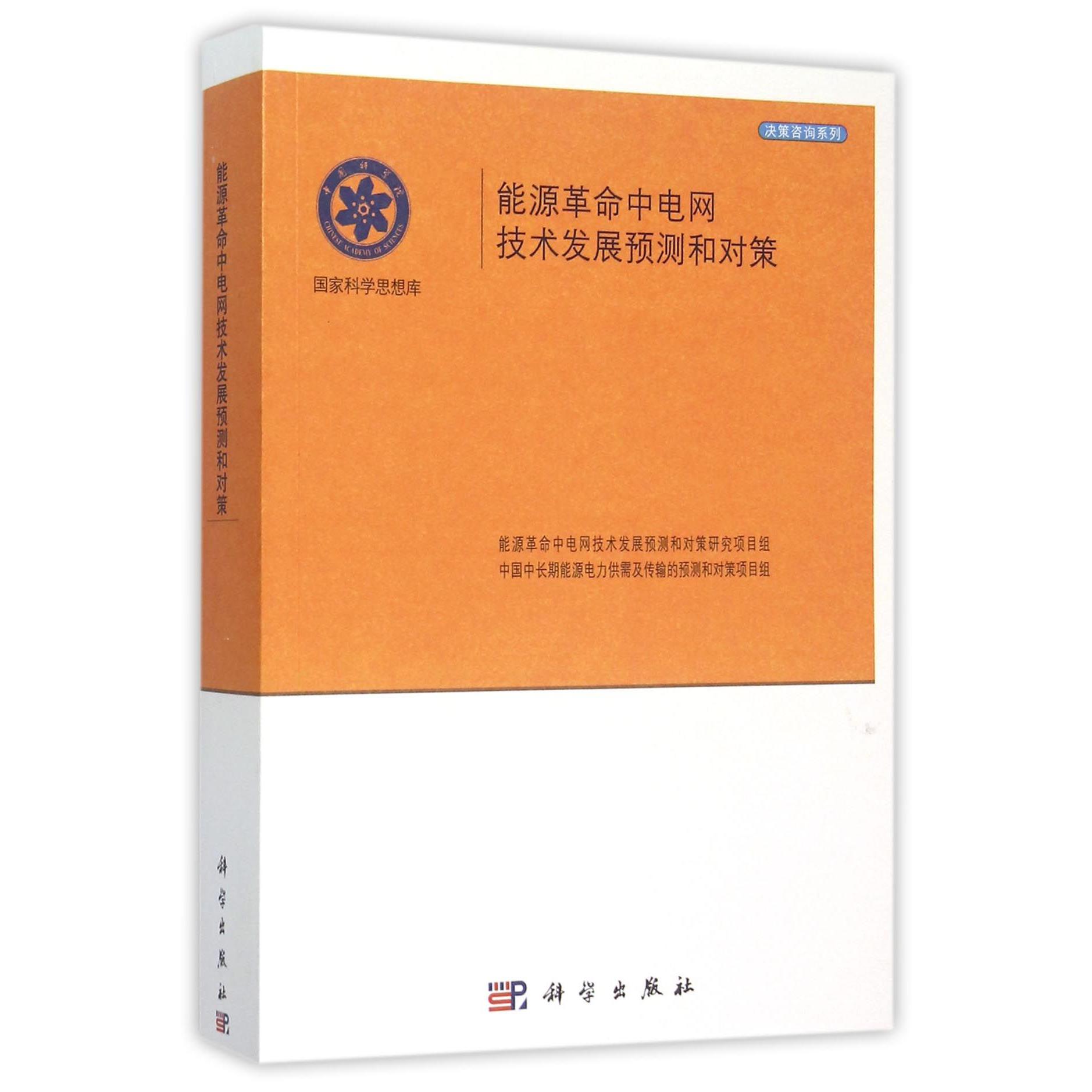 能源革命中电网及技术发展预测和对策/决策咨询系列/国家科学思想库