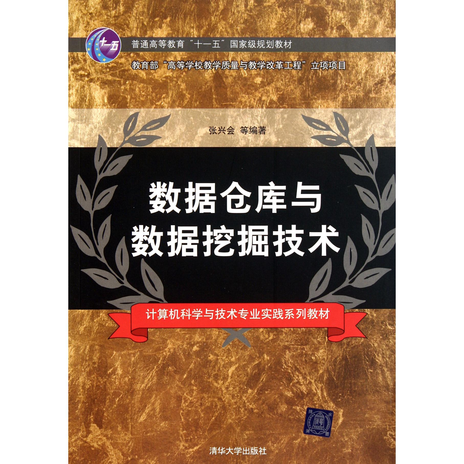 数据仓库与数据挖掘技术（计算机科学与技术专业实践系列教材普通高等教育十一五国家级