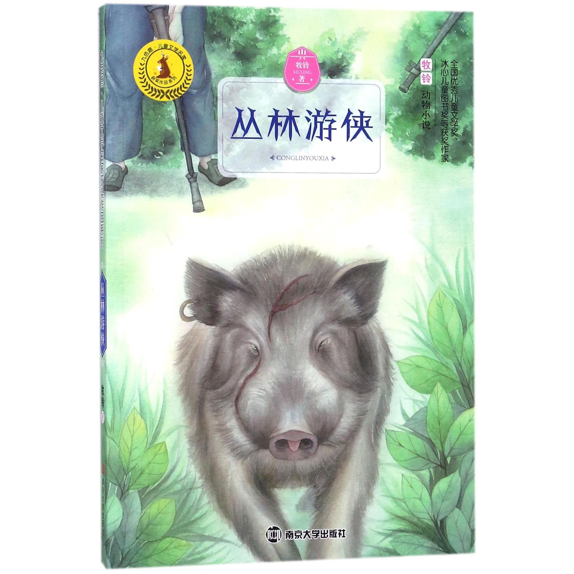 丛林游侠/九色鹿儿童文学名家获奖作品系列