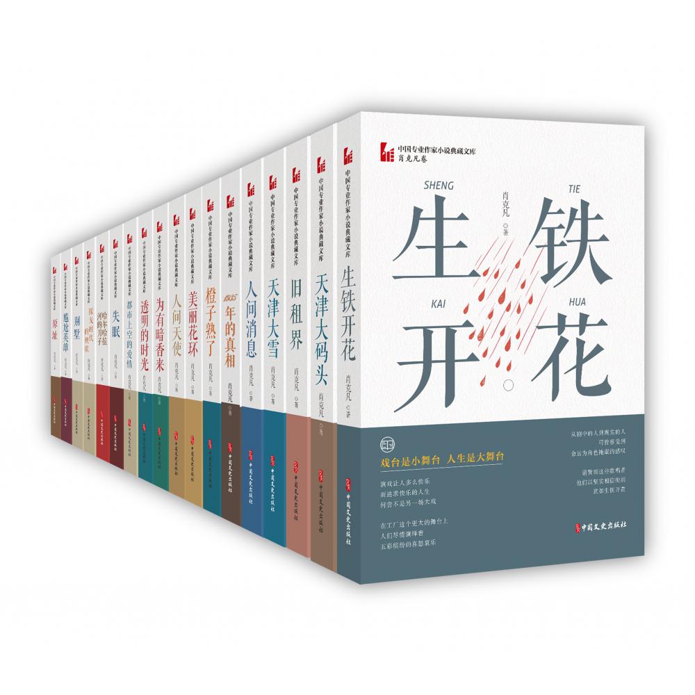 中国专业作家作品典藏文库·肖克凡卷（全18册）