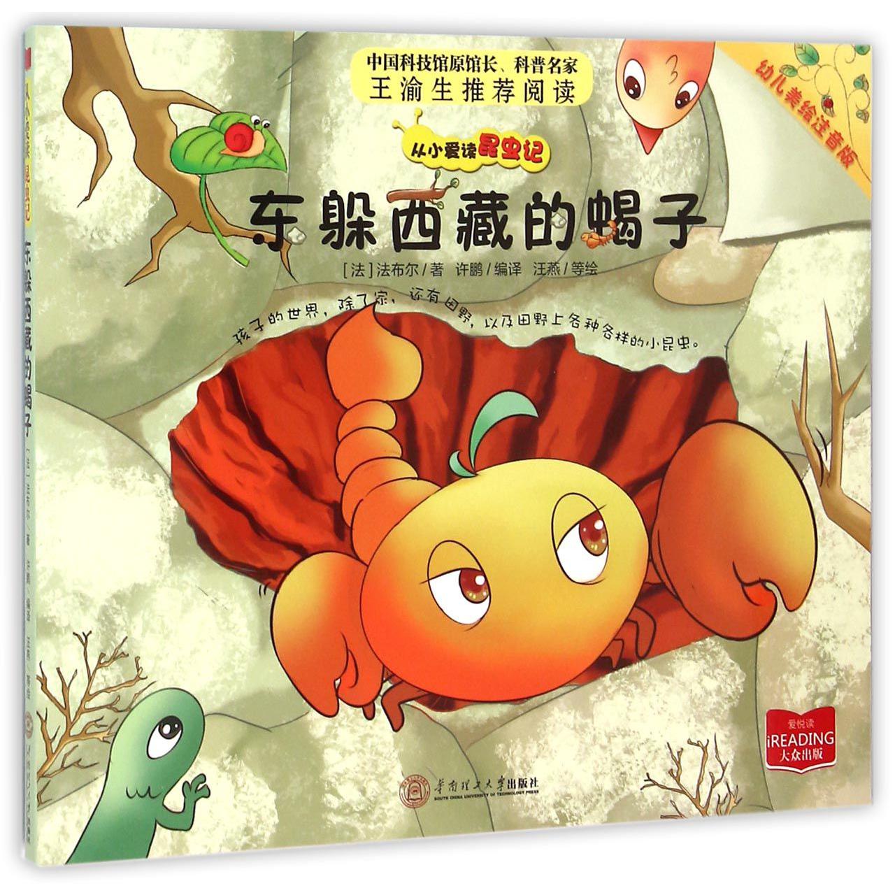 东躲西藏的蝎子（幼儿美绘注音版）/从小爱读昆虫记