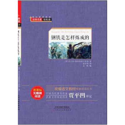 钢铁是怎样炼成的（新课标无障碍阅读）（精）/ 语文教材配套阅读丛书