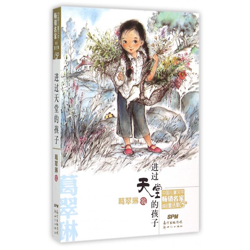 进过天堂的孩子/中国儿童文学畅销名家精品童话集