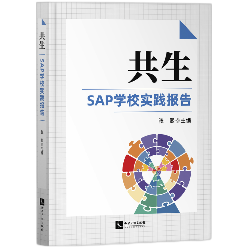 共生：SAP学校实践报告2020