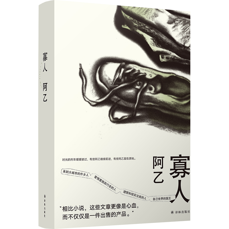 阿乙作品：寡人