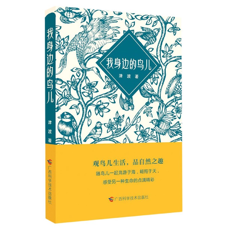 我身边的鸟儿