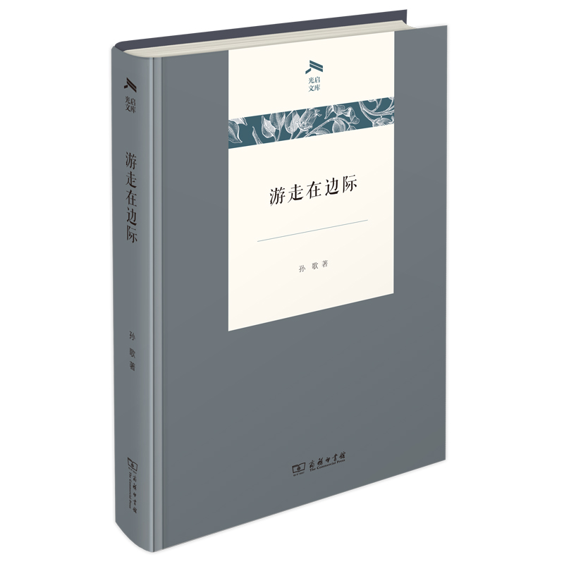 游走在边际/光启文库(精)