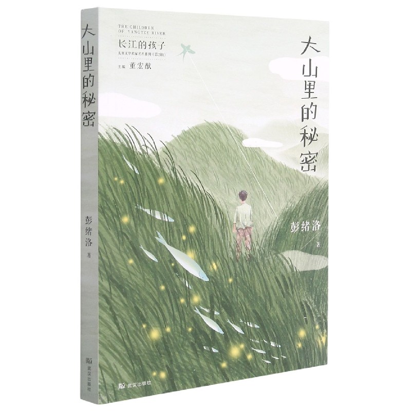 大山里的秘密/长江的孩子儿童文学名家名作系列