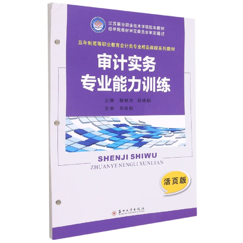 审计实务专业能力训练（活页版五年制高等职业教育会计类专业精品课程系列教材）