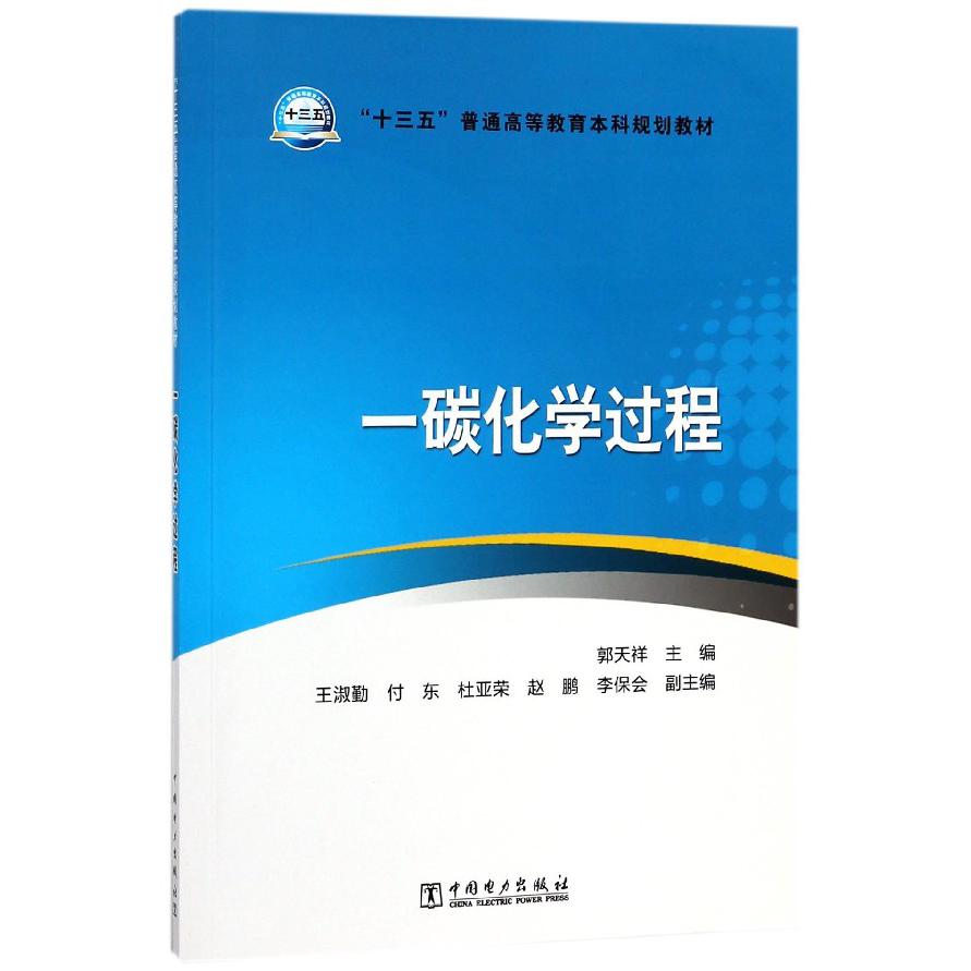 一碳化学过程（十三五普通高等教育本科规划教材）