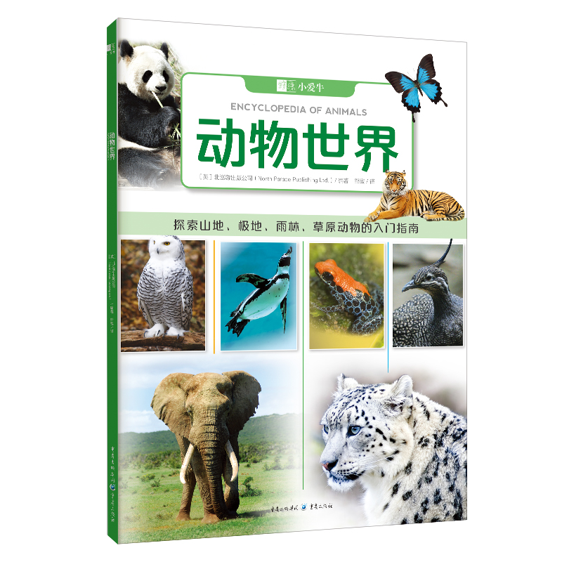 动物世界