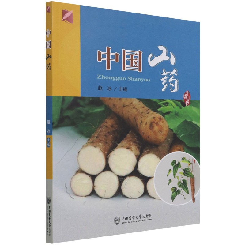 中国山药