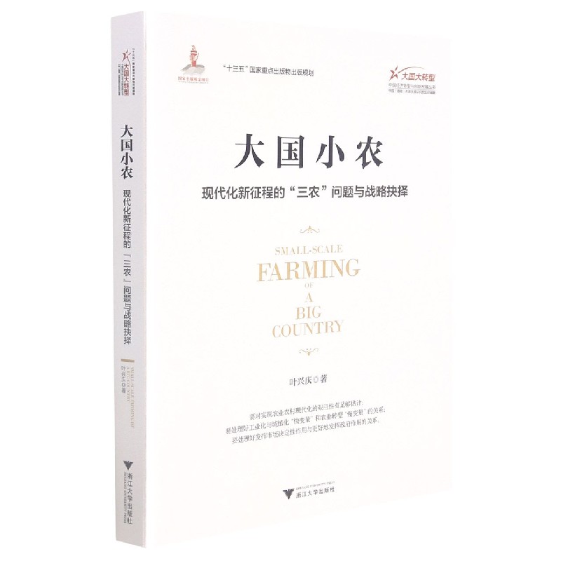 大国小农（现代化新征程的三农问题与战略抉择）/大国大转型中国经济转型与创新发展丛书
