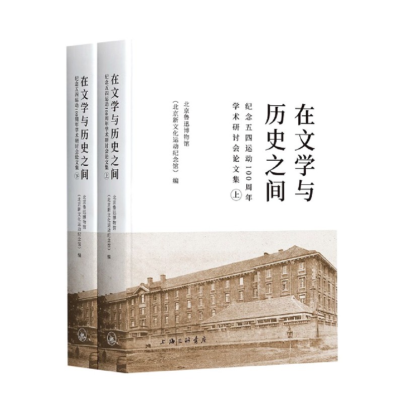 在文学与历史之间（纪念五四运动100周年学术研讨会论文集上下）（精）