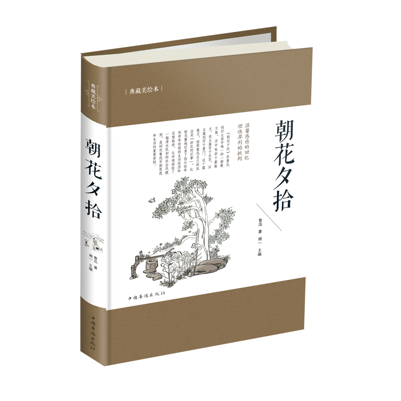 朝花夕拾(典藏美绘本)(精)